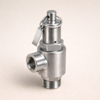 Предохранительный клапан ВР/ВР AISI 304 DN 25