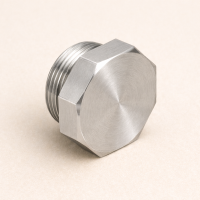 Заглушка под восьмигранник AISI 316 2 1/2" ВР